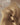 Close-up of glossy Light Brown Caramel human hair, tape-in extensions – Rubin Extensions®